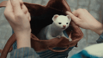 Lets Go Hbo GIF by His Dark Materials