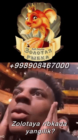 Golden Fish Cafe GIF