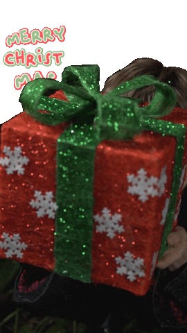 Merry Christmas GIF by koreadispatch