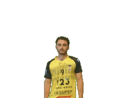 Sport Handball Sticker by Hazebrouckhandball