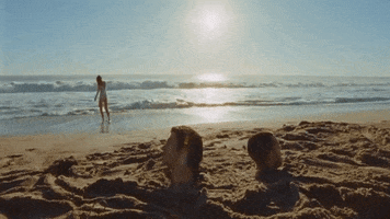 the last shadow puppets GIF by Sony Music Perú