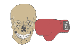 Skull Maxilofacial Sticker
