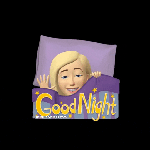 Good Night Sleep GIF by ludmilayamalova