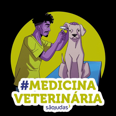 Sao Judas Curso GIF by Universidade São Judas