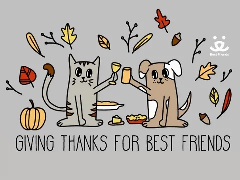 Best Friends Thank You GIF