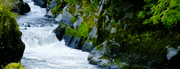 flowing water GIF