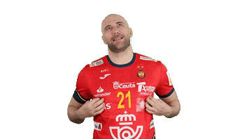 Real Federación Española de Balonmano Sticker