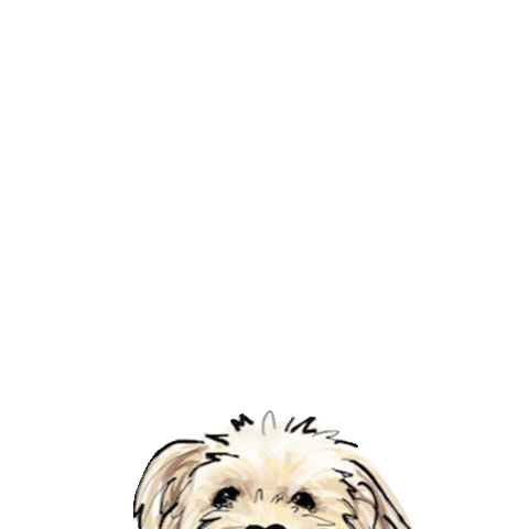 Dog Atlanta Sticker by teddytakesthecity