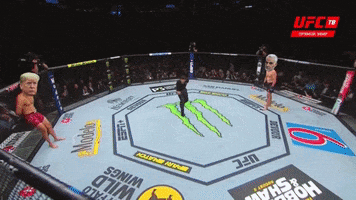 Trump GIF