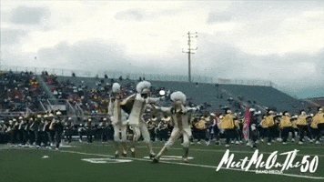 Green And Gold Band GIF by Norfolk State University