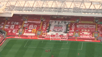 Football Stadium GIF by Liverpool FC