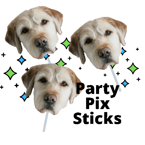 Party Pix Sticks Sticker