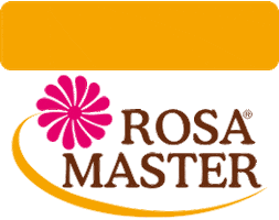 Rosa Master Sticker