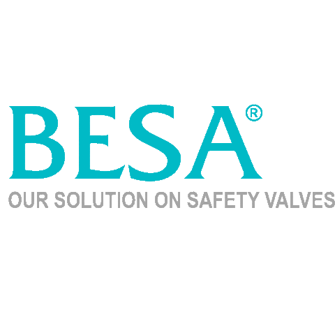 Besa Safety Valves Sticker