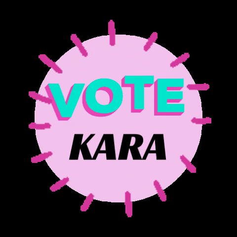 Vote Election GIF by karaforcongress