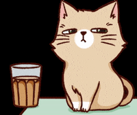 Naughty-cats GIFs - Get the best GIF on GIPHY