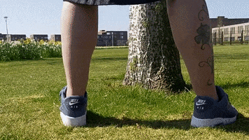 Funny GIF