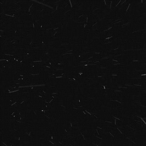 Accademia Italiana PMU GIF