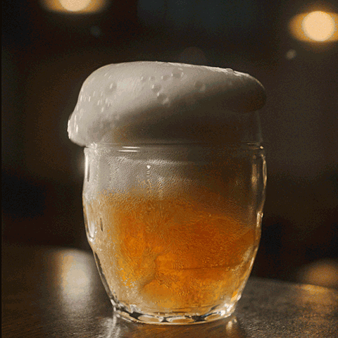 Budvar GIF