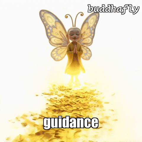 Light GIF by BuddhaFlyJourney