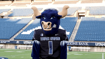 Big Blue Smh GIF by Utah State University