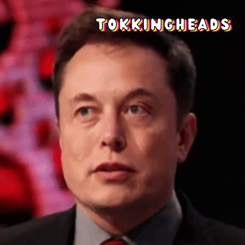 Elon Musk Reaction GIF by Tokkingheads