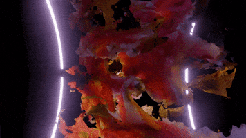 200.gif?cid=fc005b085eb9e6d0eaaffdc1d8e172c0b4230fa06d93b5f0&rid=200.gif&ct=g