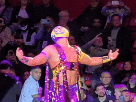 Lucha Libre Celebration GIF