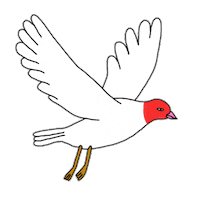Bird Sticker