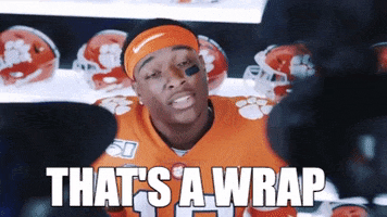 Game Over Football GIF by Clemson Tigers