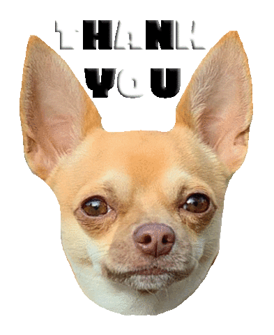 Dog Thank You Sticker for iOS & Android | GIPHY