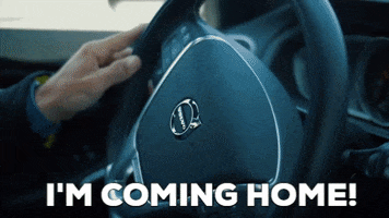 Coming Home GIF by Triauto