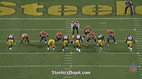 cincinnati bengals