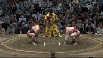 Sumo GIF