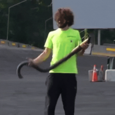 Gushi GIF by Big Indian Drift Pit