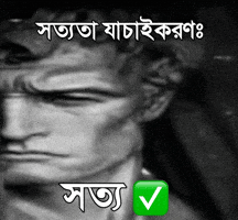 Fact Check Truth GIF