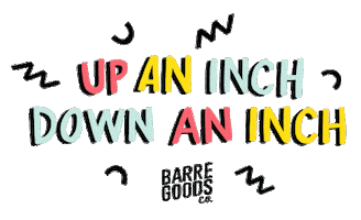 Workout Barre Sticker by barregoodsco