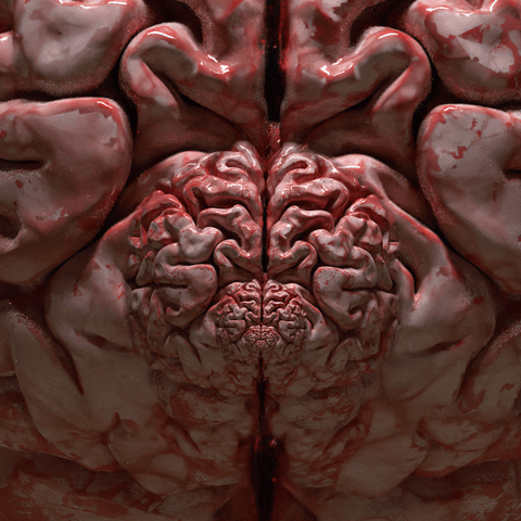 Idea Brain GIF by Feliks Tomasz Konczakowski