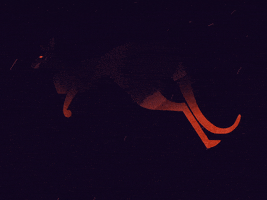 200.gif?cid=fc005b0890a0ba2a4321ade43ea2180c79d1340f87ada825&rid=200.gif&ct=g