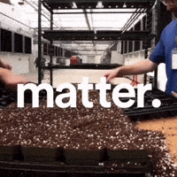 Plant Grow GIF by PharmaCann