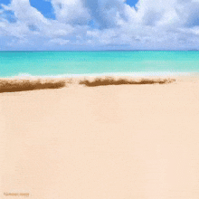Zanzibar00010 GIF