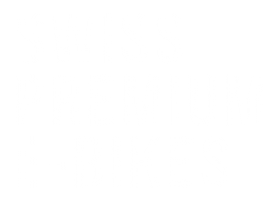 Bike Switzerland Sticker by FLYER E-BIKES