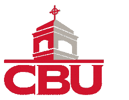 Cbu150 Sticker