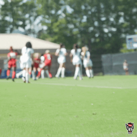 Celebration Reaction GIF by NC State Athletics