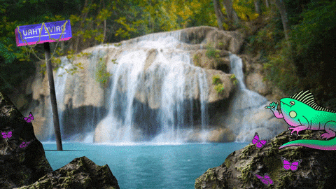 Zoom Backgrounds Gif By Giphy Cares Find Share On Giphy