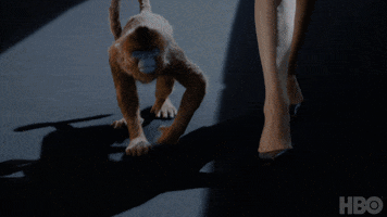 200.gif?cid=fc005b08874f2980778f29fe586c858e4606850a83980bb8&rid=200.gif&ct=g