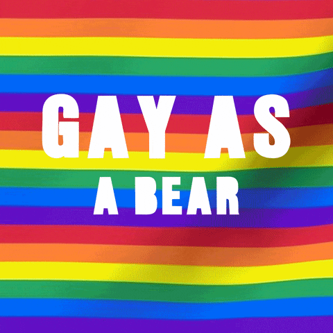 Text gif. White text on a rainbow striped back ground reads "Gay as," and then phrases cycle through, including "gluten free, Britney, poodles, CrossFit, Madonna, Cowboys, your closet, Warhol, poppers, Stonewall, Cher, RuPaul, equality, otters, a daddy..."