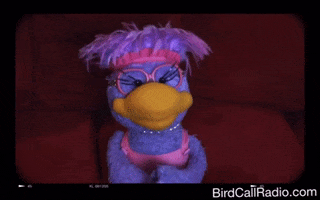 BirdCallRadio makeup clap clapping tiktok GIF