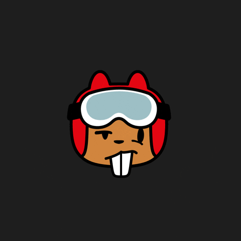 Cerro Castor What GIF