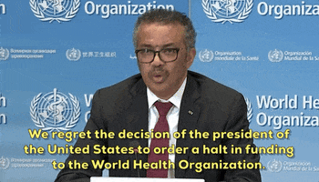 World Health Organization GIF